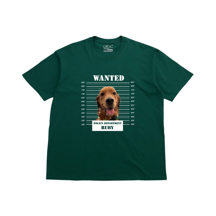 WANTED-velvet effect