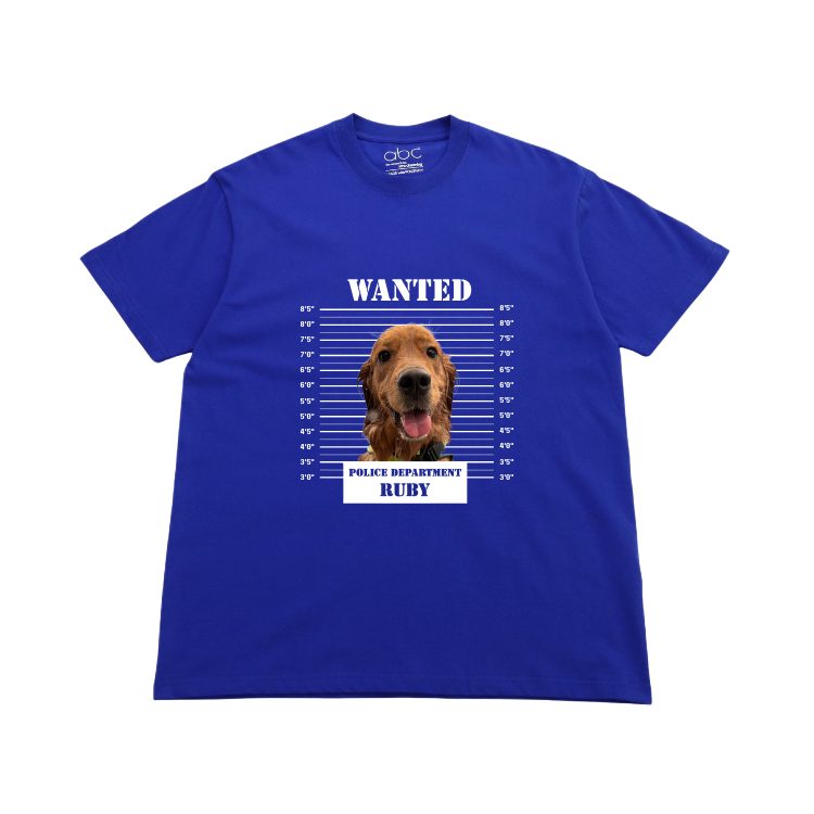 WANTED-velvet effect