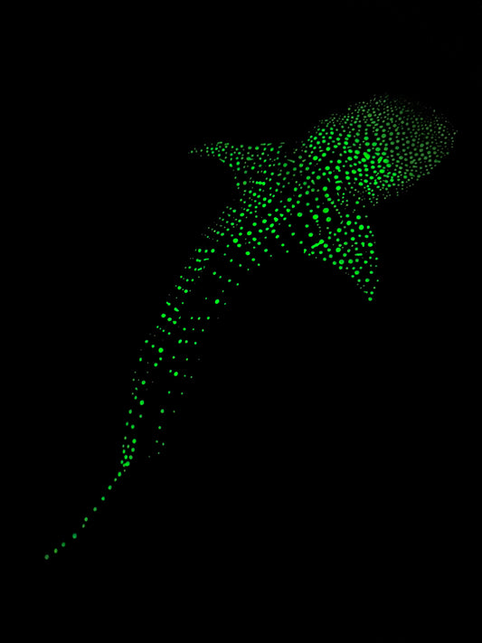 WHALE SHARK-glow in the dark